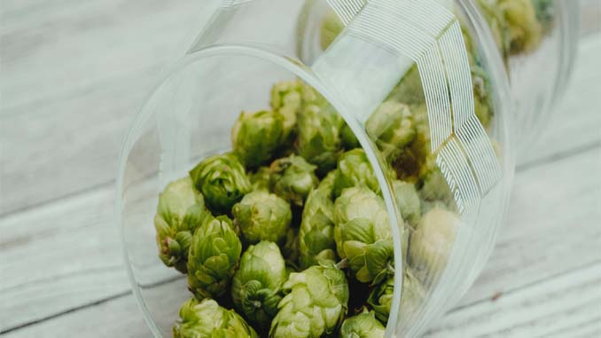 Glass With Hops