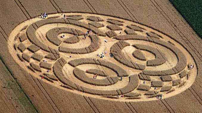 People Walk Through Crop Circles