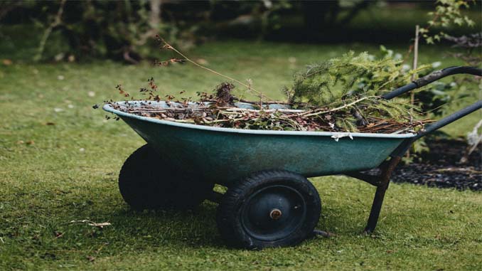 Wheelbarrow With Branches In It