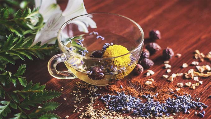 Clear Tea Cup With Herbs And Spices In And Around It