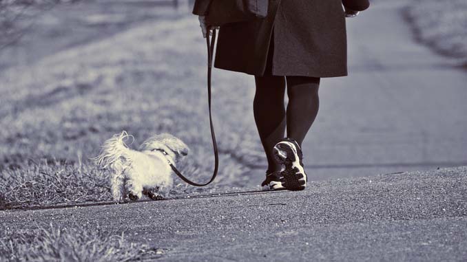 Woman Walking Her Dog