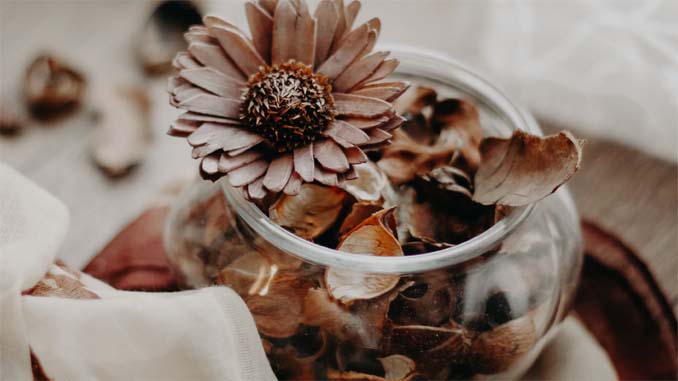 Bowl With Dried Plants
