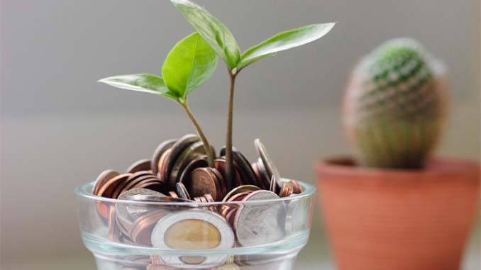 Plant Growing From A Glass Filled With Coins