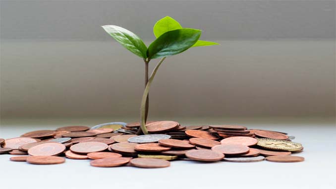 Plant Growing Out From Coins