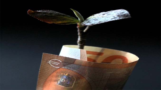 A Plant Growing Inside A $50 Bill