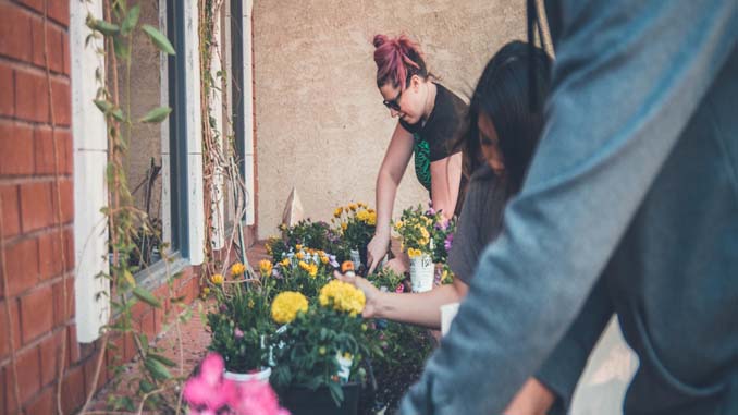 Three People Tending A Garden