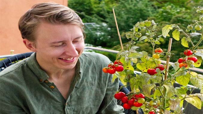 Man Tending To His Garden