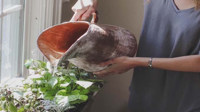 Woman Watering Her Herbs