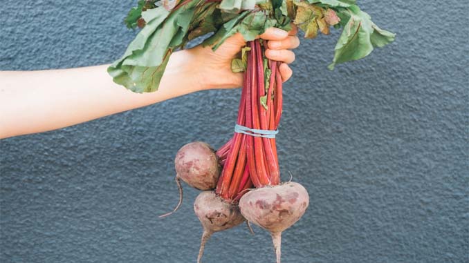 Hand Holding A Bunch Of Beets
