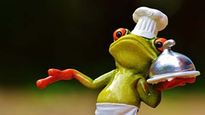 A Frog With A Chefs Hat