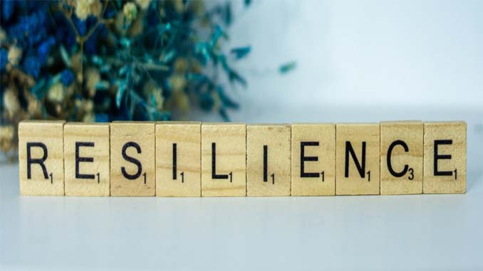 The Word "Resilience"