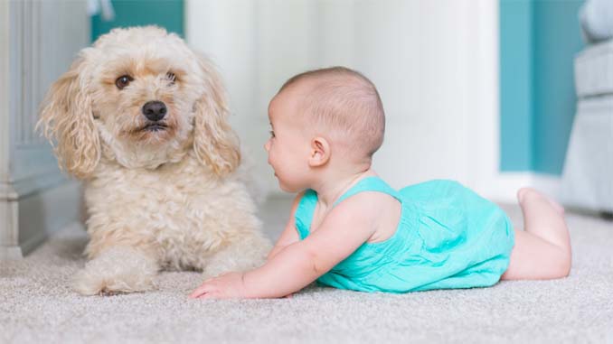 Baby On The Floor With A Dog
