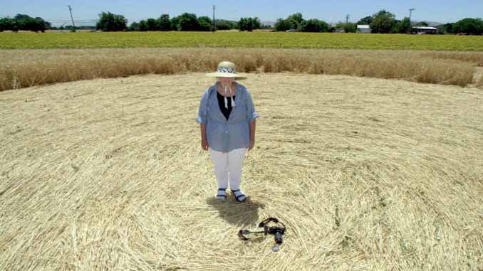 Woman Standing Inside A Crop Circle