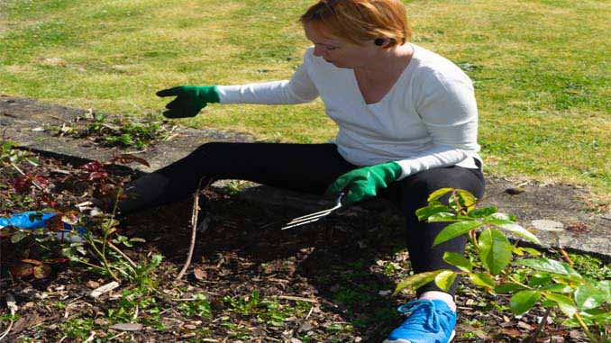 Woman Working On Her Garden
