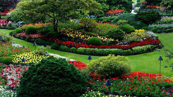 A Beautifully Sculpted Garden