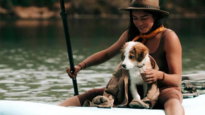 Puppy On A Paddle Board With Owner