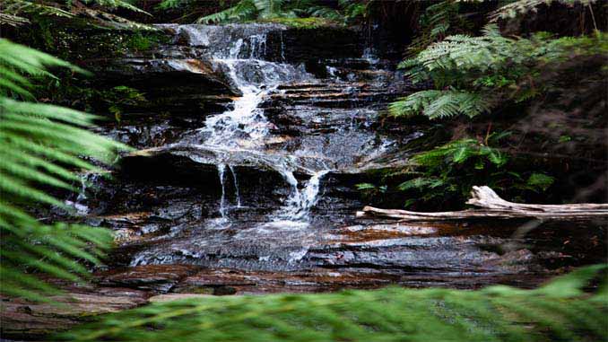 Water Flowing Downstream