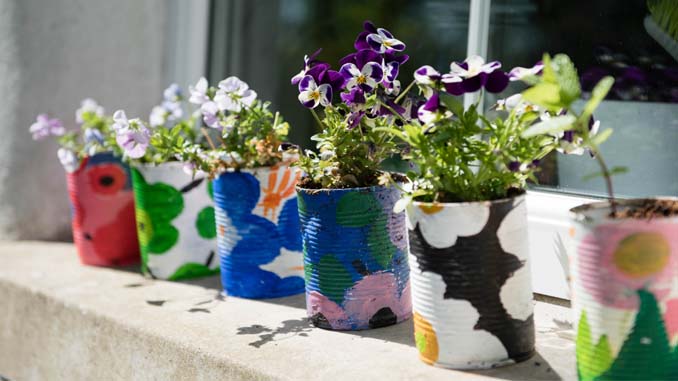 Tin Cans Turned Into Pots For Plants