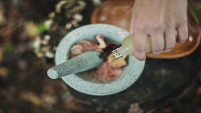 Oil Being Poured Onto Plants