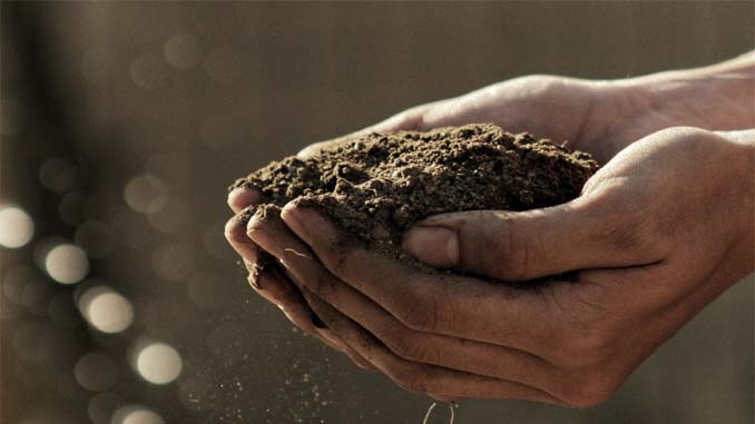 Soil Being Held In Two Hands