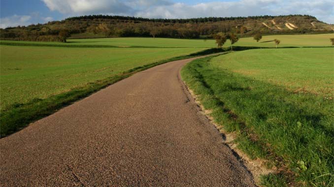 A Walking Path To The Hills