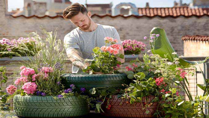 Man Tending To Plants