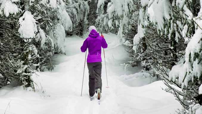 A Woman Cross Country Skiing