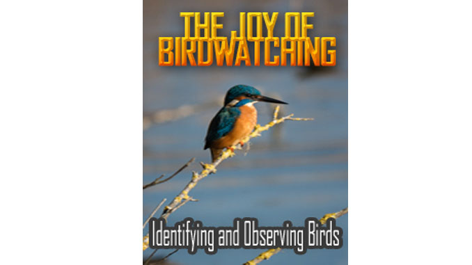 The Joy Of Birdwatching Ecover