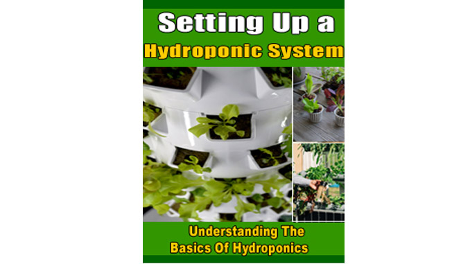 Setting Up A Hydroponic System Ecover