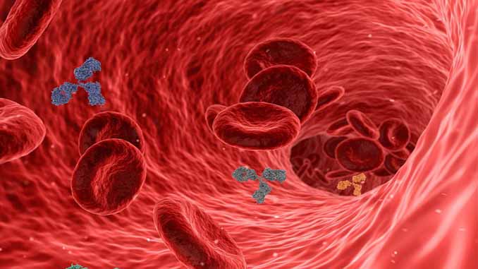 A Virus Moving Thru The Bloodstream