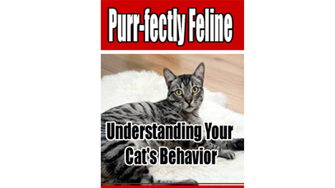Purr-fectly Feline Ecover