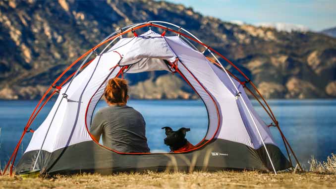 Woman And A Dog In A Tent
